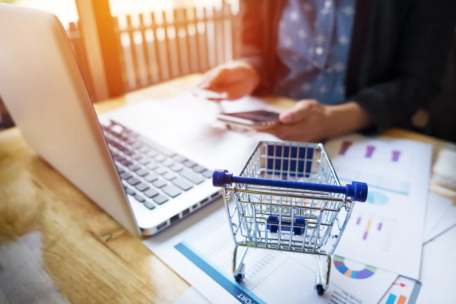 Özel E-Ticaret Yazılımı: SaaS'tan Ne Zaman Geçmeli?