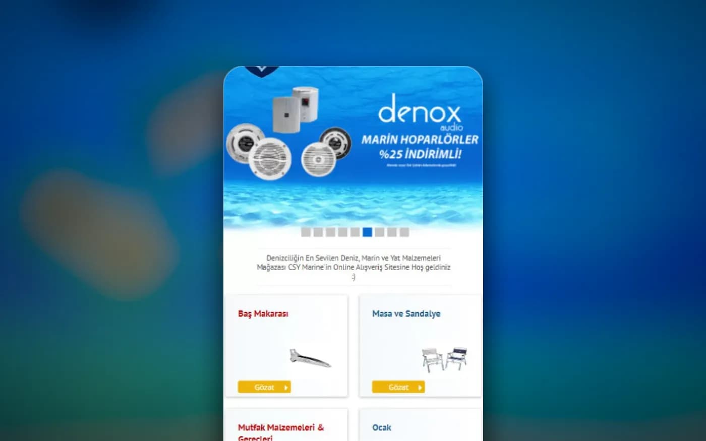Product section