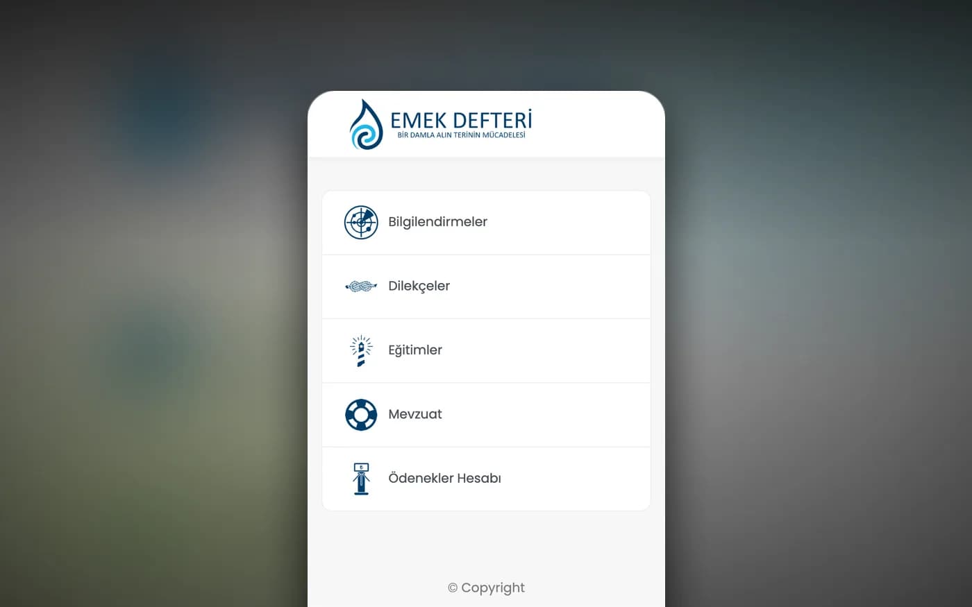 Content sections