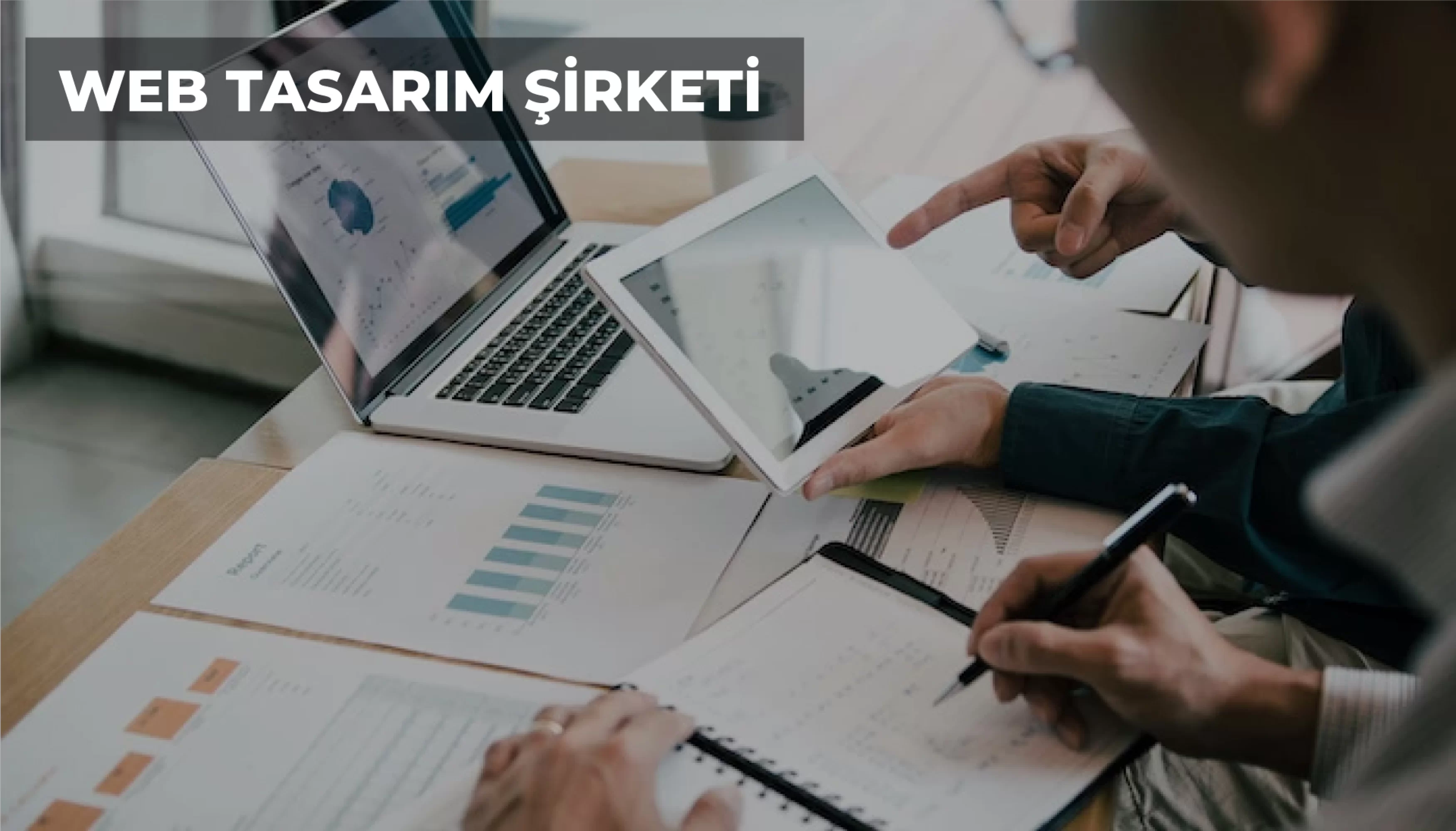 Web Tasarım Şirketi, Şirketleri Ne İş Yapar?