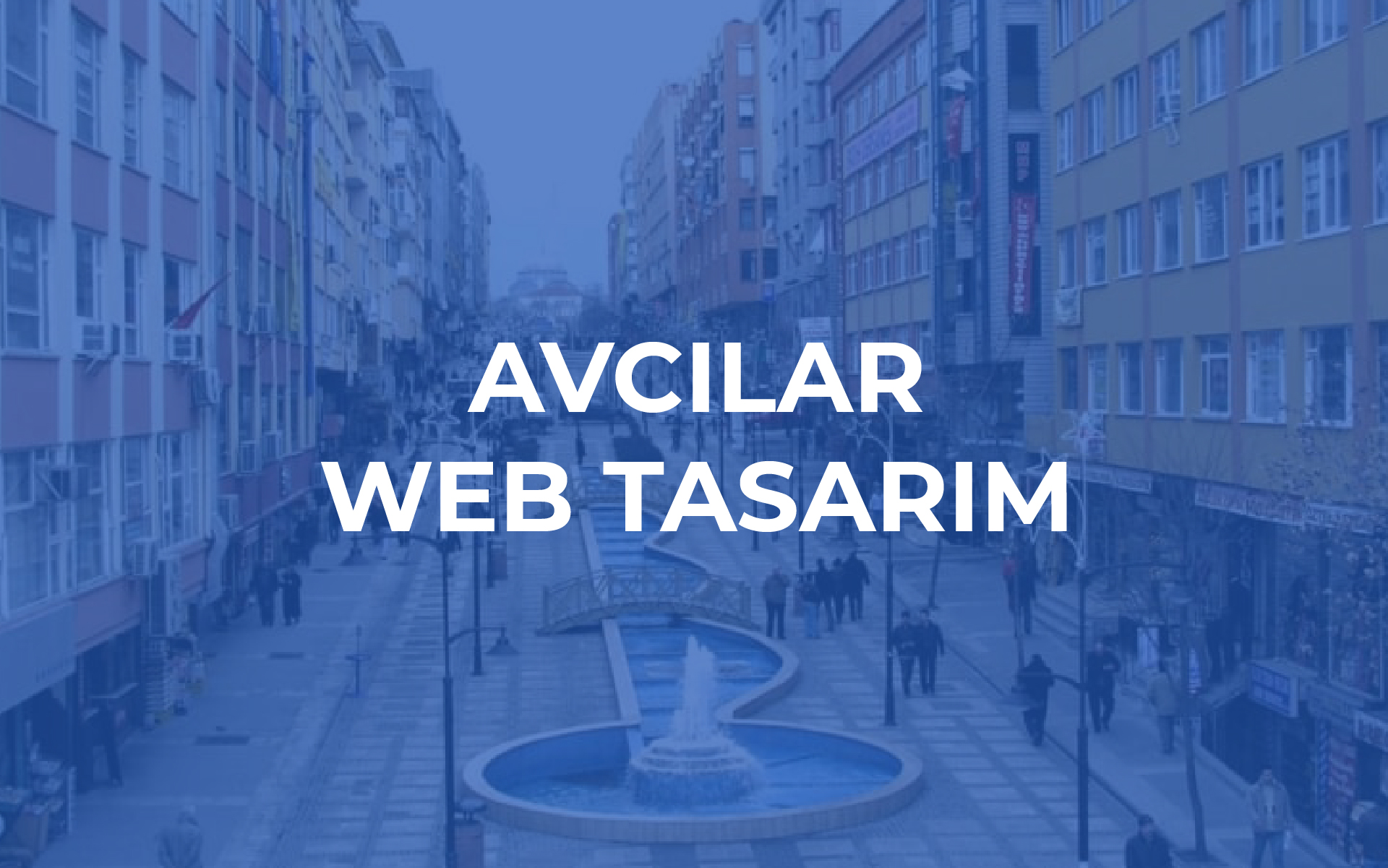 Avcılar Web Tasarım